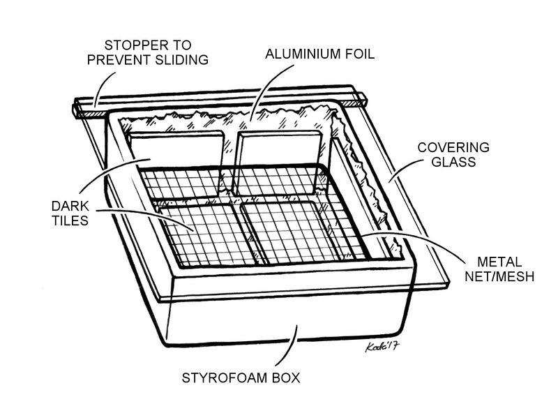 AN33 Tapani Fig 1
