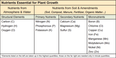 Nutrient Deficiencies Article Image1b