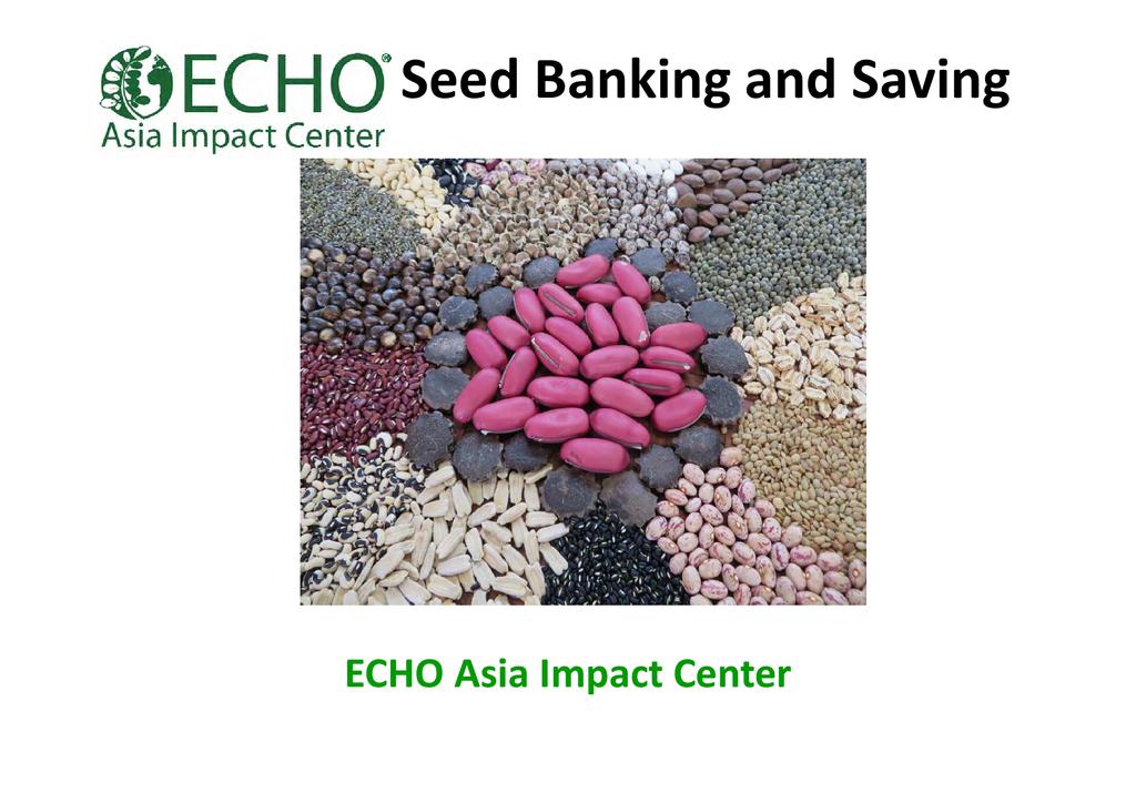 Seed banking saving 0