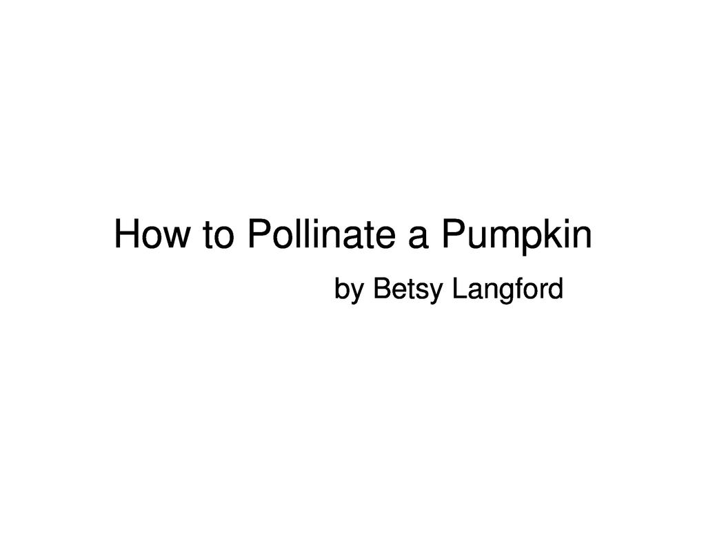 Pumpkin pollination presentation 0