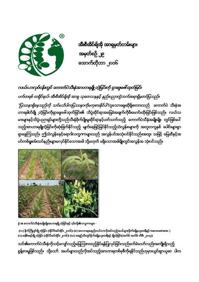 Burmese diagnosing crop nutrient deficiencies in the field 0
