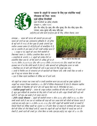 Hindi preparation of modified mat nursueries mmn final 0