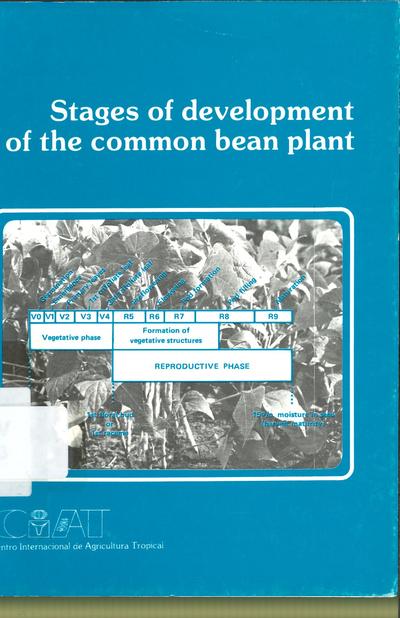Stages of Development of the common bean plant, study guide ...