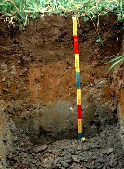 Soils of Mainland Southeast Asia 7