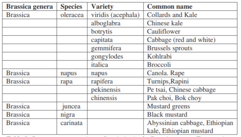 EDN 87 Table 1