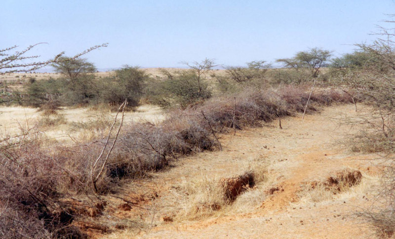 Barren land in Mauritania