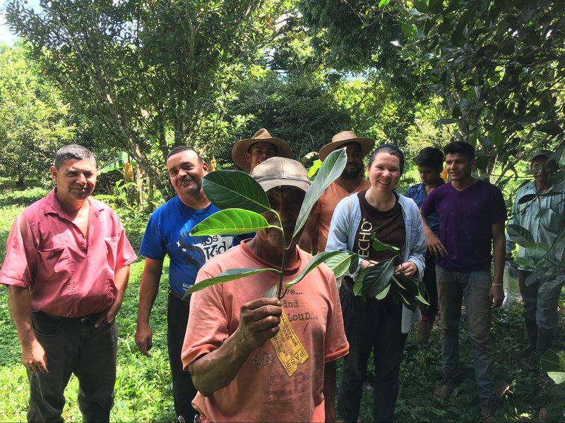 ECOs DE NUESTRA RED: Las Frutas Siempre Parecen Mejores en el Huerto del Vecino, Pero Mi Huerto en Tanzania Tiene sus Ventajas