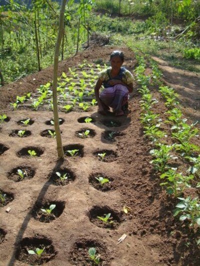 A Toolkit...for Climate Challenges in Tropical Asia 9