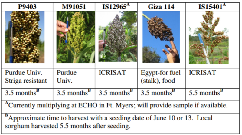 EDN 95 Figure 7