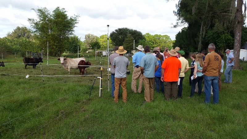 Digging Deeper: Rotational Grazing