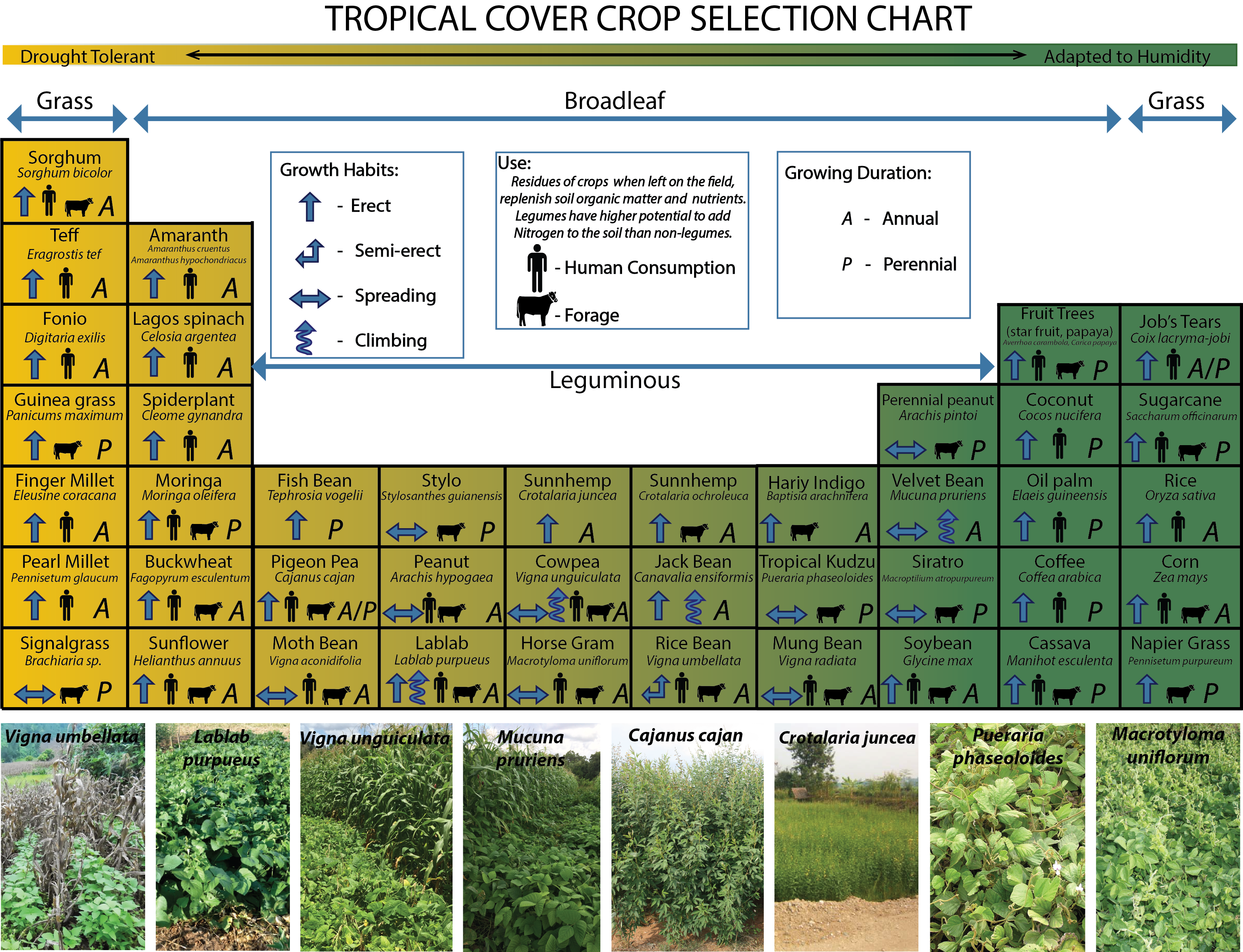 Cover Crop Seeding Rate Chart