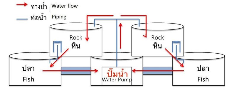 A low-cost concrete ring aquaponics system 4