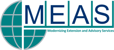 MEAS Logo