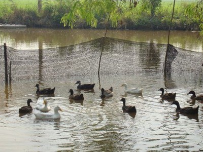 A Toolkit...for Climate Challenges in Tropical Asia 4