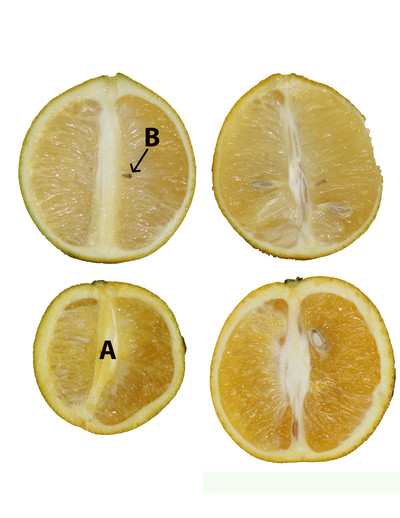 EDN138 Figure 5