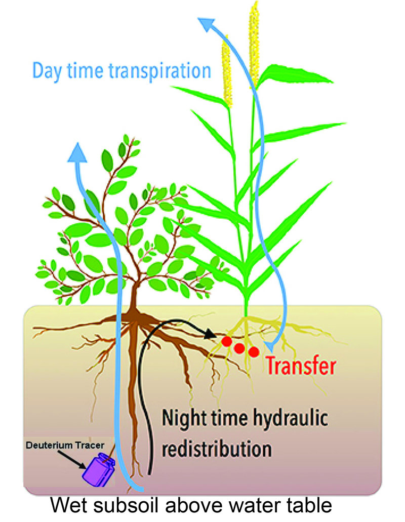 EDN142 figure 11