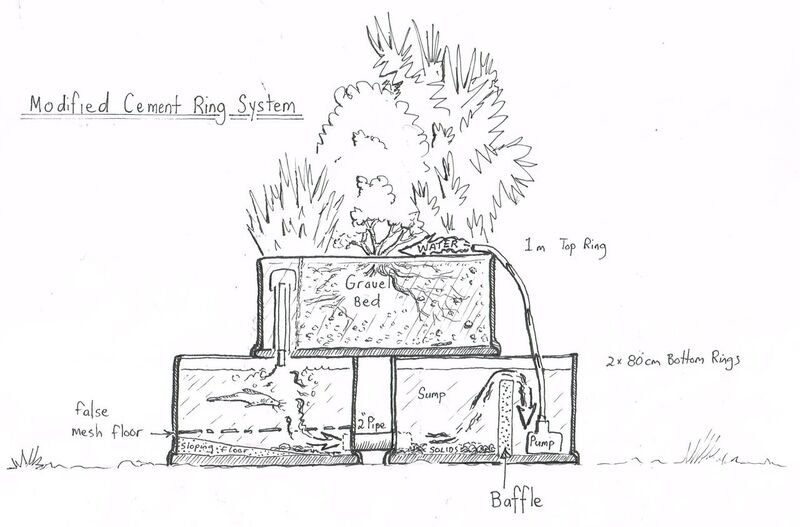 Lessons from Cement Ring Aquaponics 2