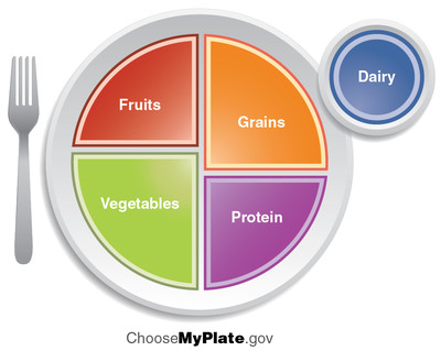 TN 16 USDA Food Groups