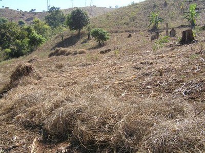 A Toolkit...for Climate Challenges in Tropical Asia 5