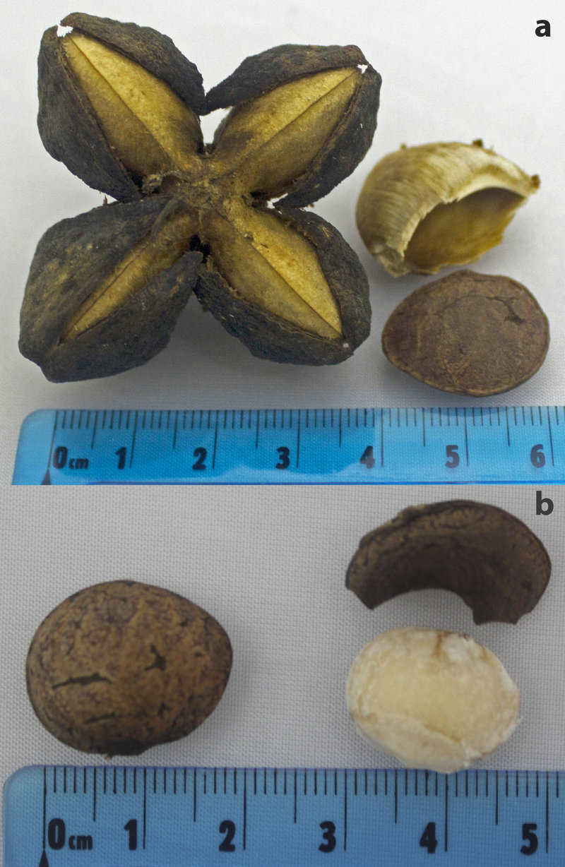 EDN 128 - Carbon Farming - Figure 2