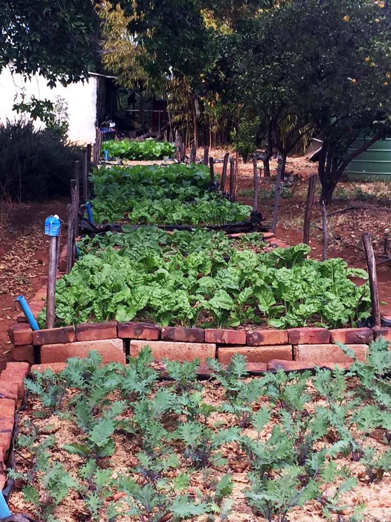 WICKING BEDS – Permaculture Food Forest