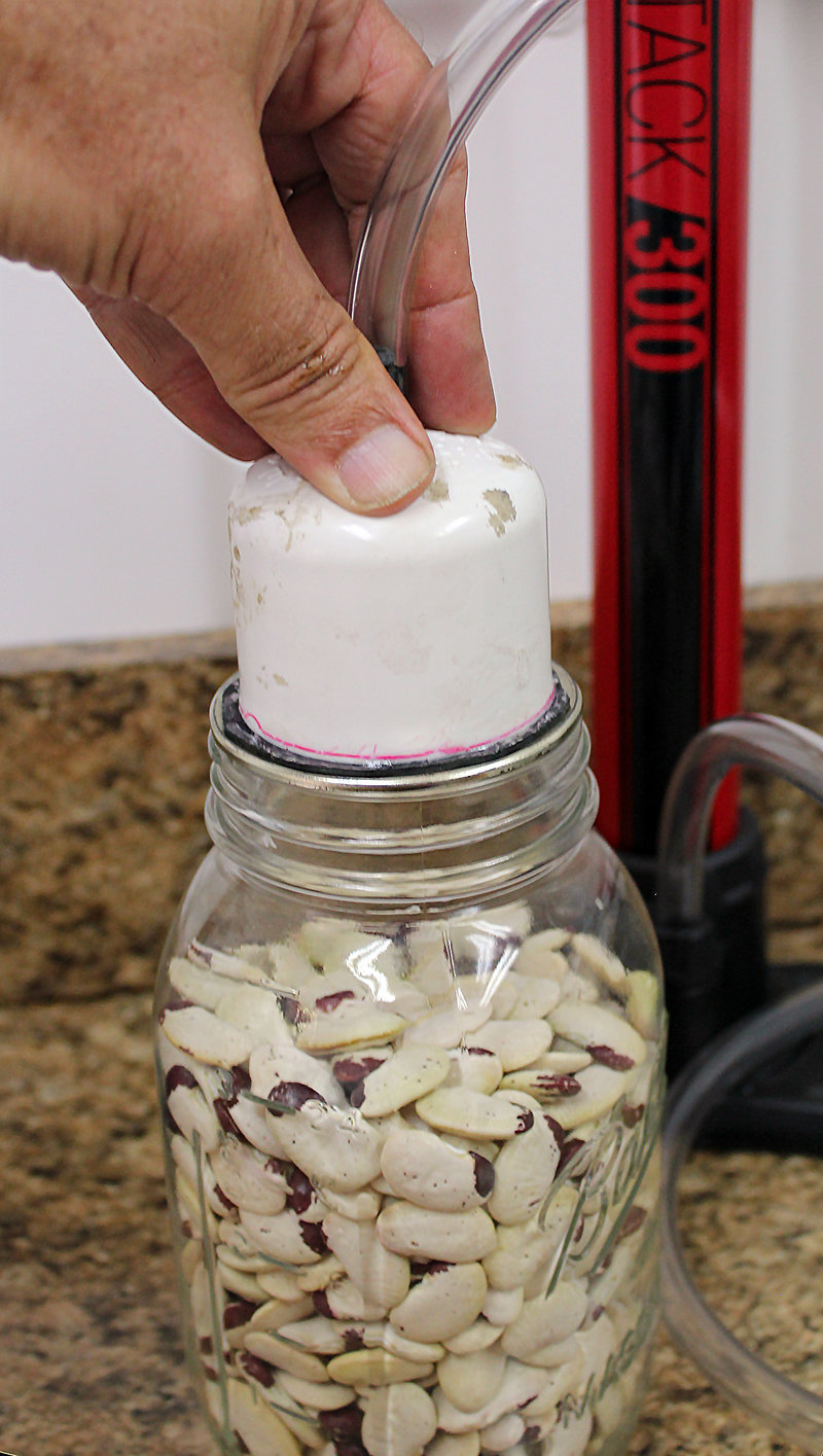  Vacuum-Sealing Options for Storing Seeds