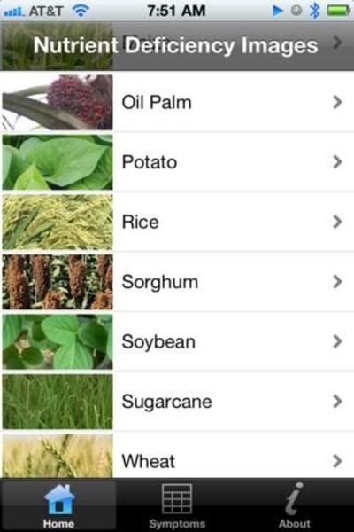 Nutrient Deficiencies Article Image7b