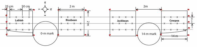 BPN7 figure 9