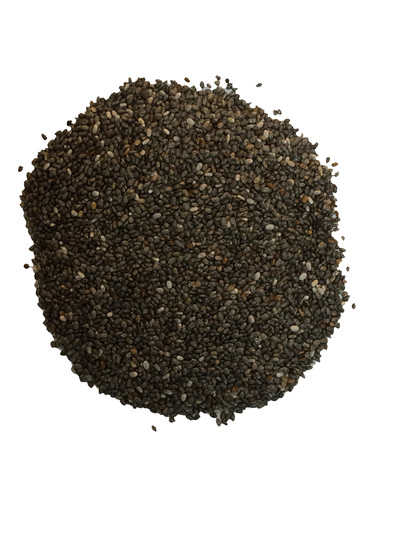 TN91 Chia seeds