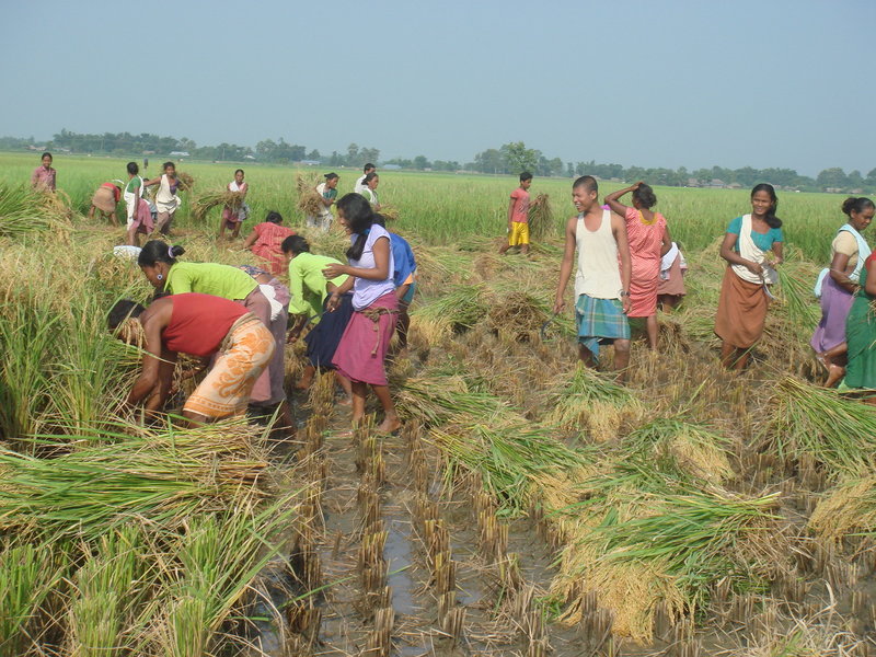 Learning From Farmers