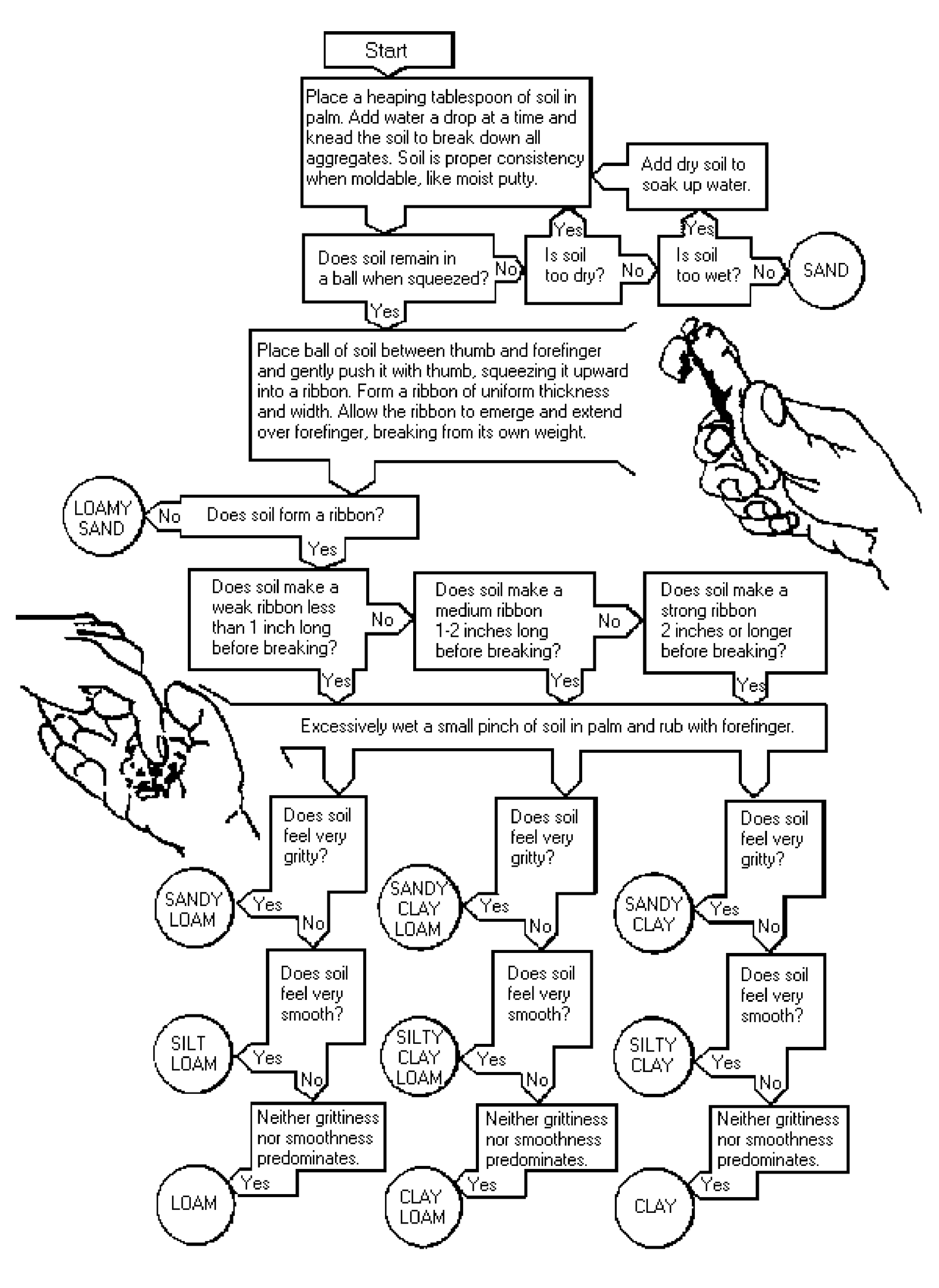 ERN4 figure 5