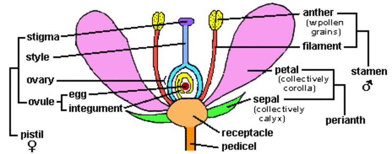 TN63 fig 2