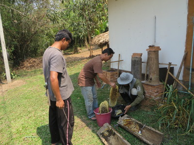 ECHO Asia staff harvests honey