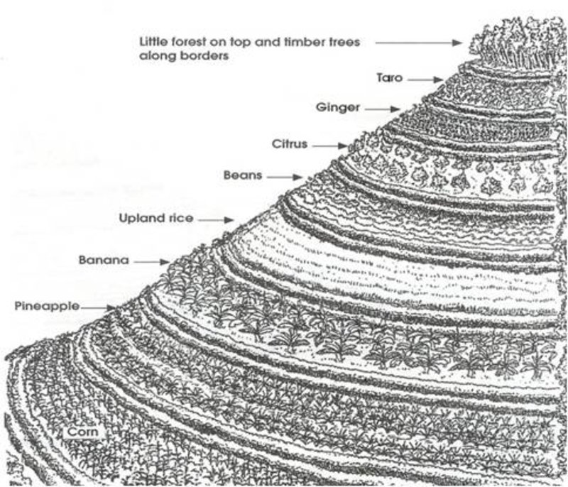 Sloping Agricultural Land Technology