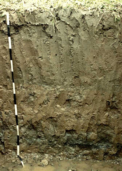 Soils of Mainland Southeast Asia 10