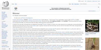 Rhizome - Wikipedia