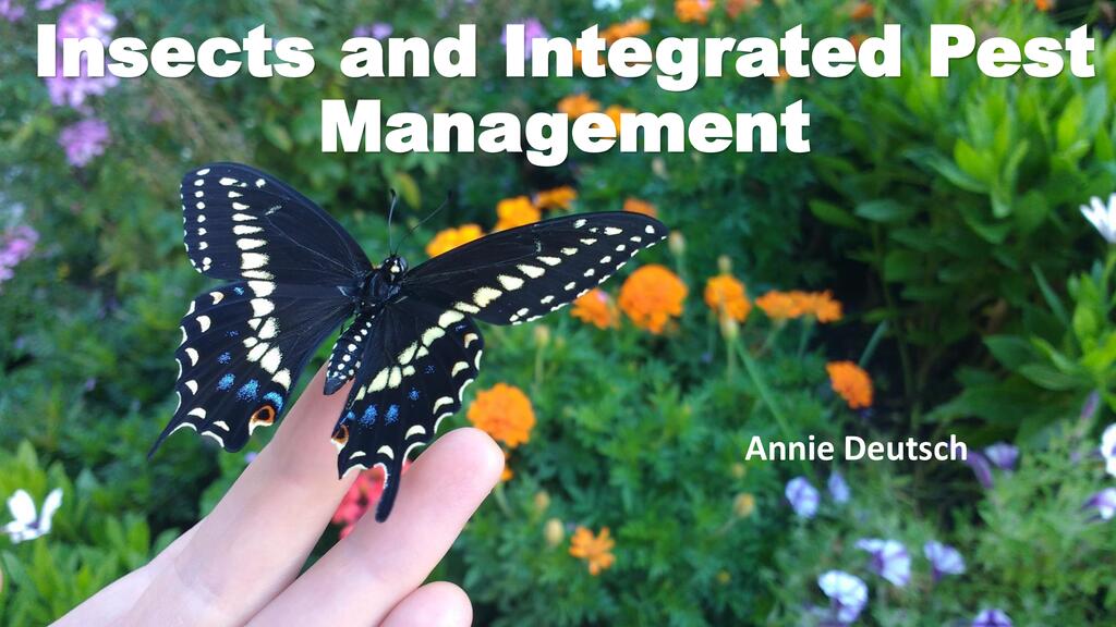 Insects and Integrated Pest Management