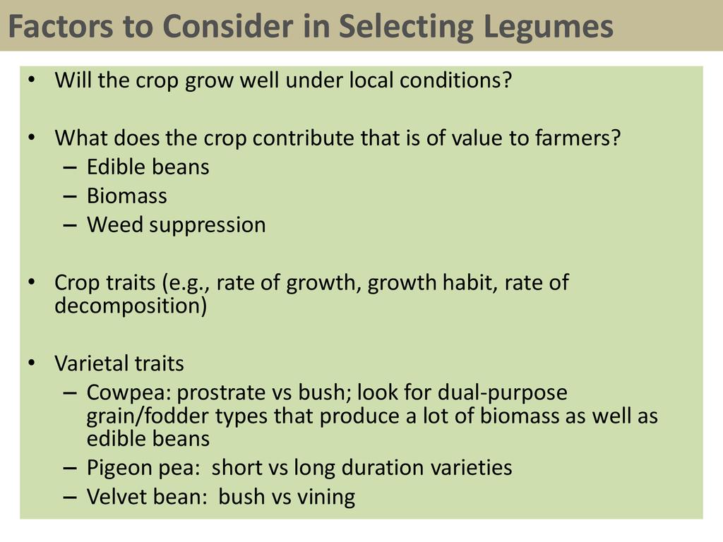 Legume Intercropping Strategies | ECHOcommunity.org