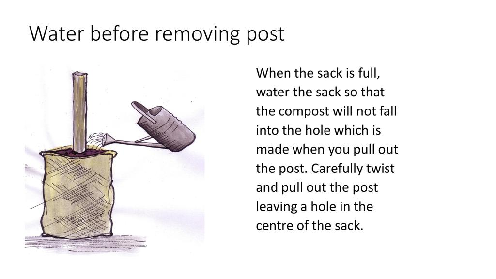 To be in the sack. To be in the sack