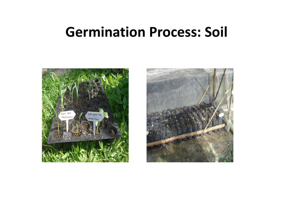Soil processing. Soil processing