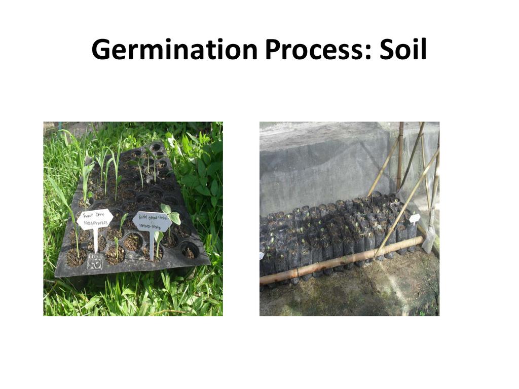 Soil processing. Soil processing