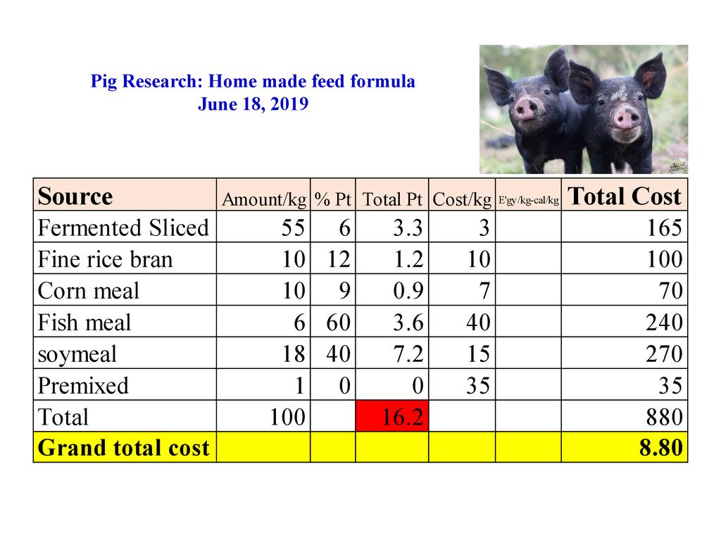 Total Mixed Animal Feed Ration (TMAFR) Pig and Poultry