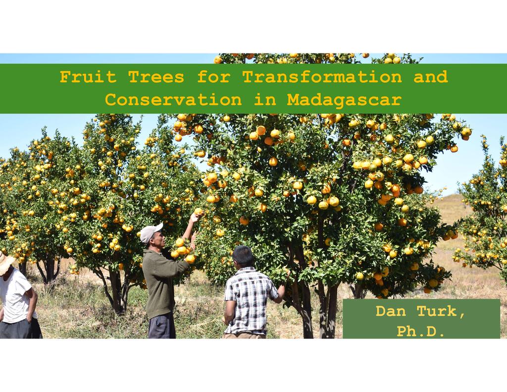 Fruit Trees for Transformation and Conservation in Madagascar