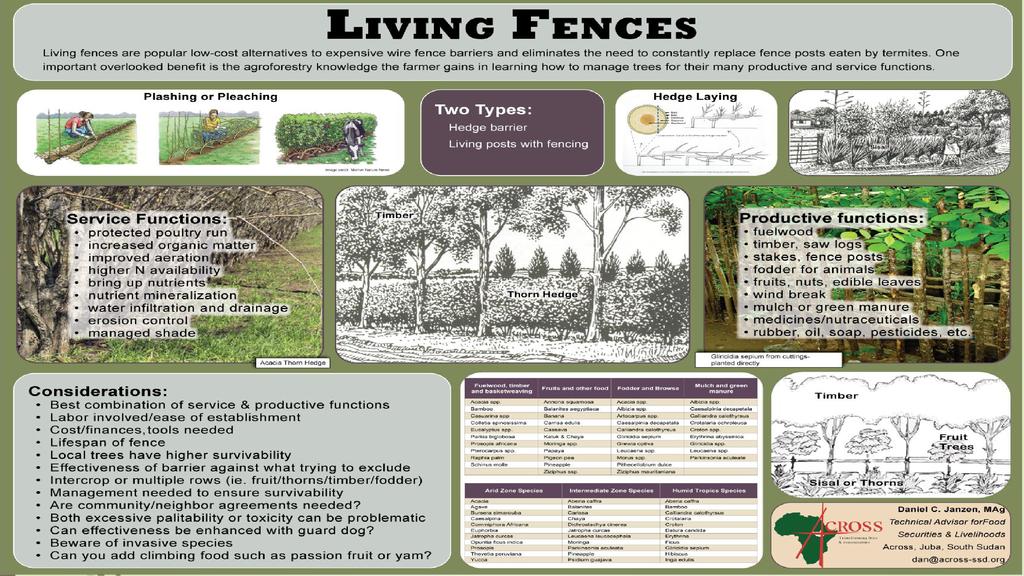 International agricultural journal