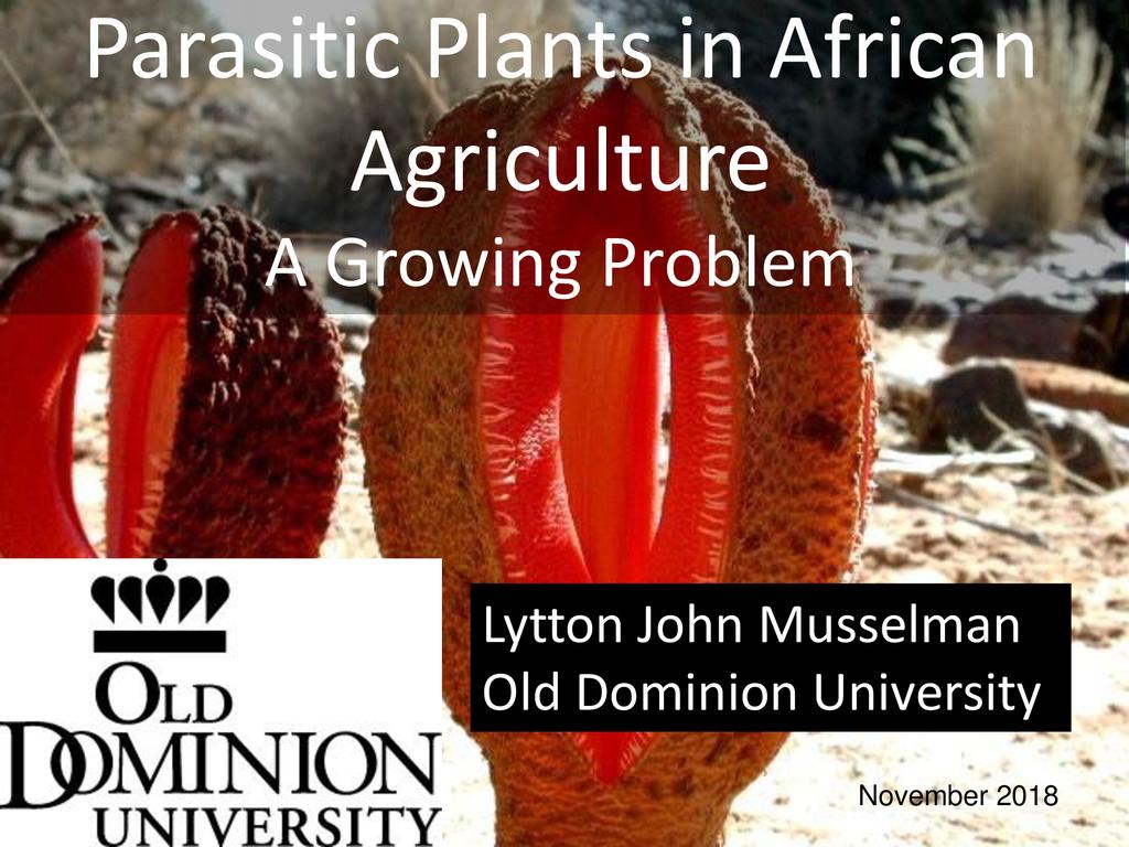 Parasitic plants in African agriculture—A growing problem